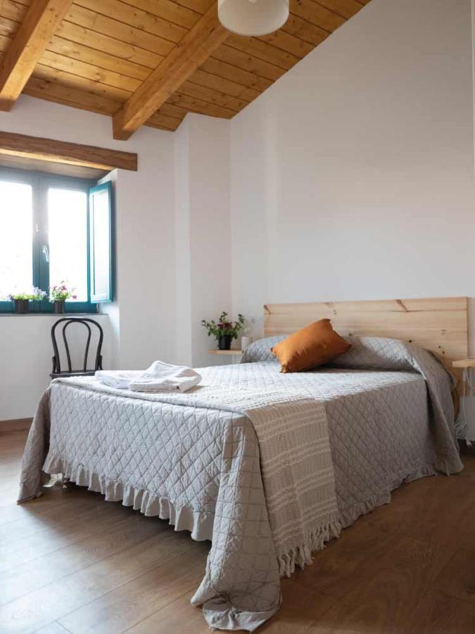 בית הארחה Laza 	Casa Terra Alma מראה חיצוני תמונה
